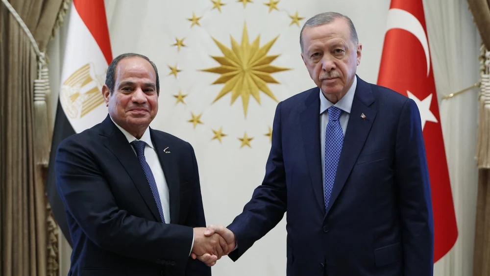 Turkiye's Erdogan visits former rival Sisi to ink partnership deals